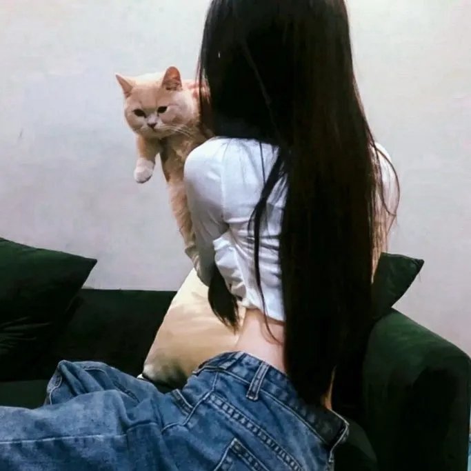 阿法隆的迷雾