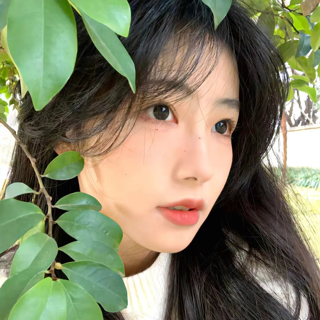 明月山海揽芳华