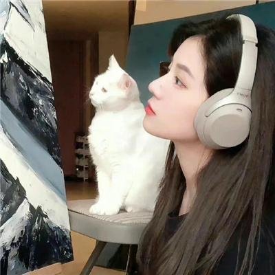 超级翁婿